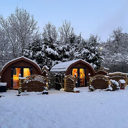 Conifer Cabins 포트 윌리엄 외부 사진